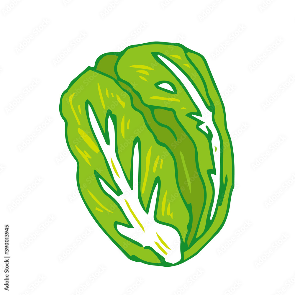 白菜 シンプル 野菜 デフォルメ 白菜 シンプル 野菜 デフォルメ