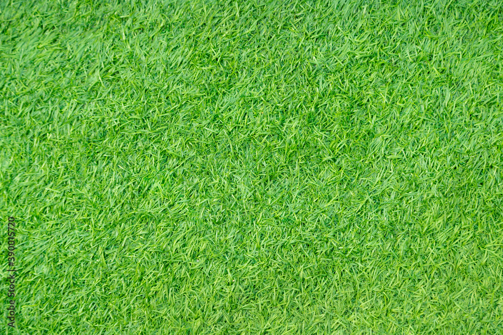 Fototapeta premium Green artificial grass natural background