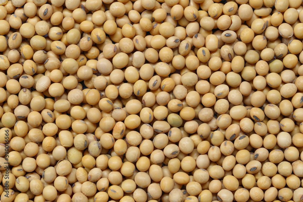 Fresh seed soybean background. Fresh seed soybean background.