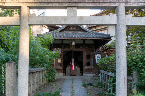 京都　天性寺 © ndk100