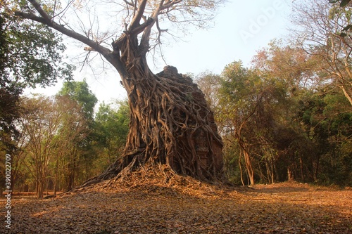 Cambodia.Temple Zone of Sambor Prei Kuk, Archaeological Site of Ancient Ishanapura. Before the Angkor period. Kampong Thom city. Kampong Thom province. photo