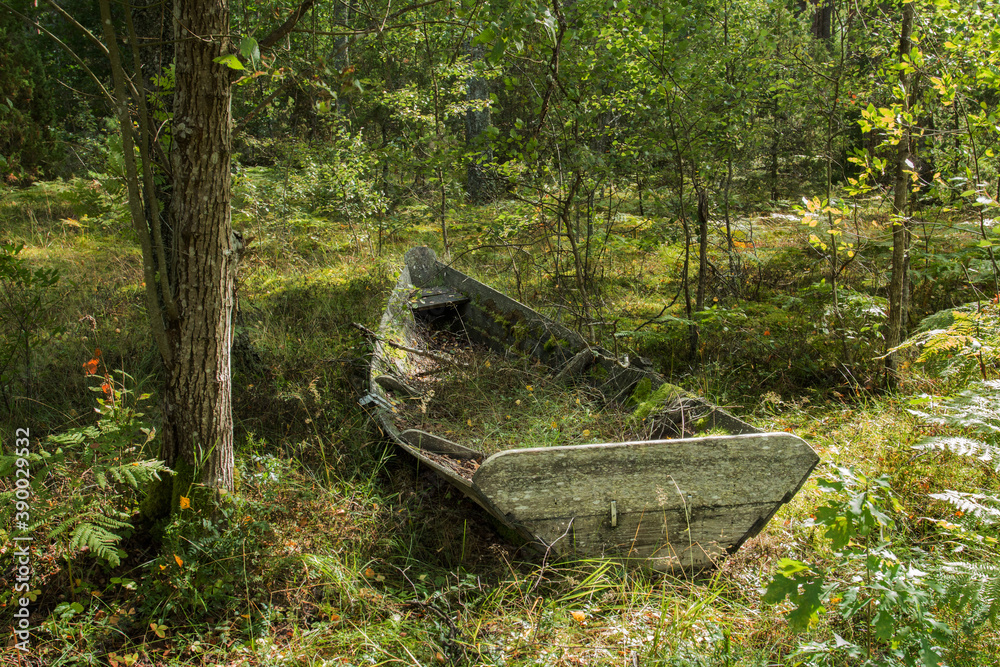 Discarded wooden boat overgrown with grass in forest Discarded wooden boat overgrown with grass in forest