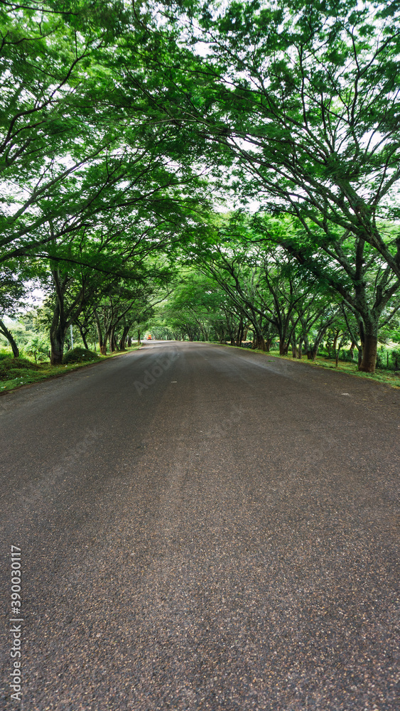 Beauty and green road in Intibuca Honduras
