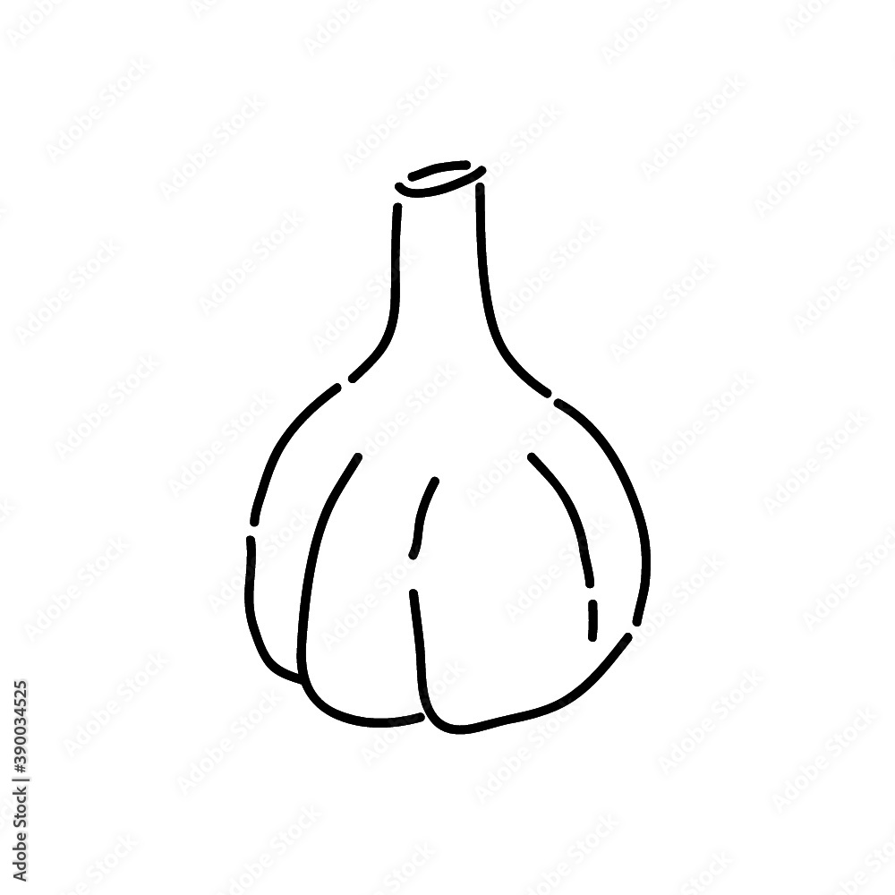 Garlic outline icon vector Garlic outline icon vector