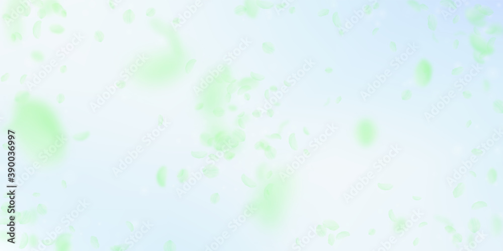 Green flower petals falling down. Great romantic f Green flower petals falling down. Great romantic f