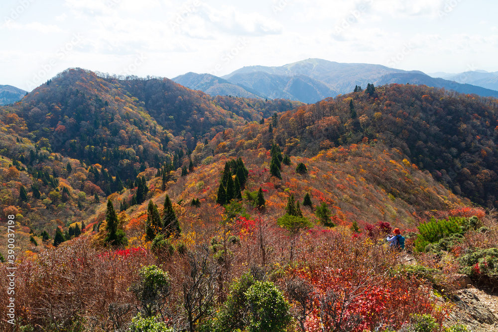 紅葉の武奈ヶ岳 登山道からの眺め