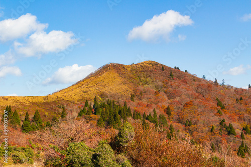紅葉の武奈ヶ岳 登山道から山頂を望む © naomi.k