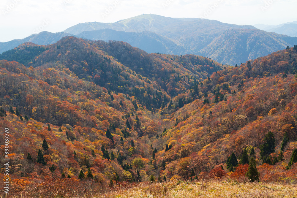 紅葉の武奈ヶ岳 登山道からの眺め(遠くにびわ湖バレイを望む)