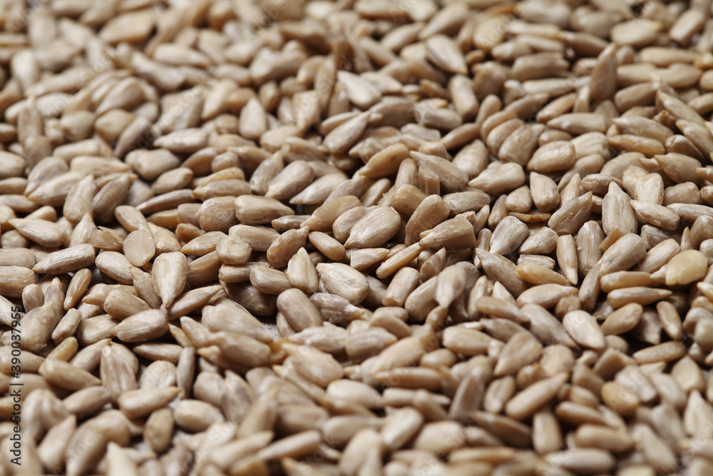 sunflower seeds on rustic background sunflower seeds on rustic background