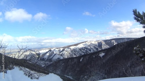 View from the taiga to the city photo