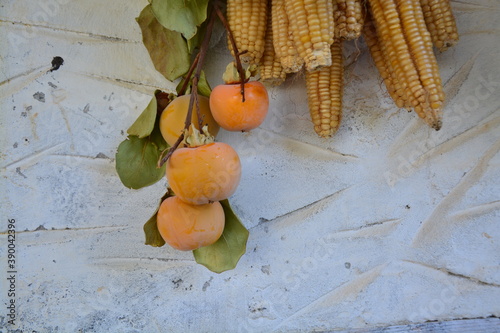 still life with fruits