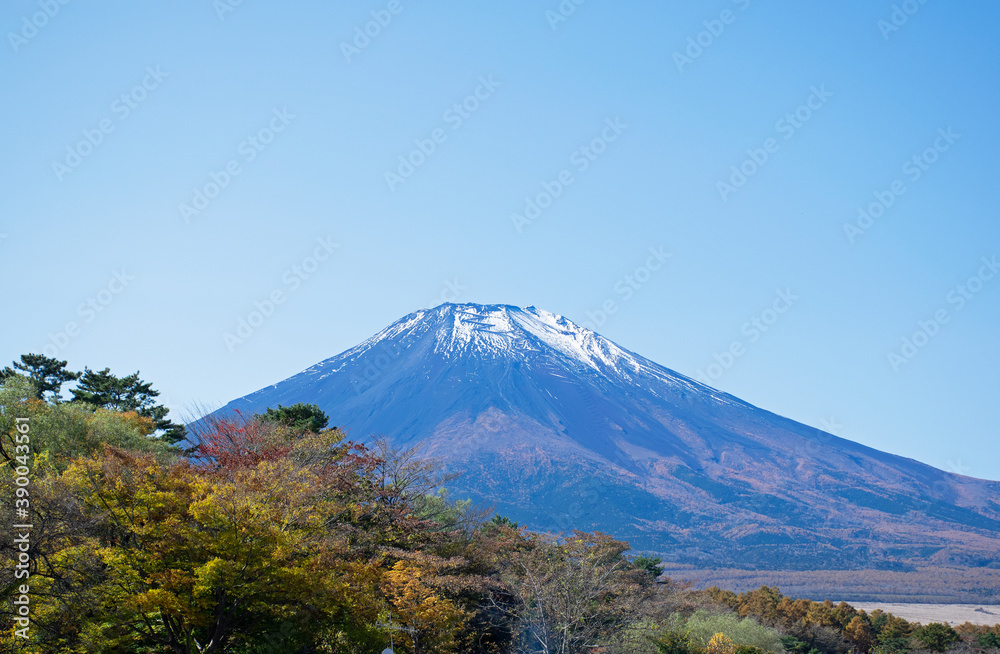 紅葉と山中湖を介して眺め見る富士山の姿、凛として美しい