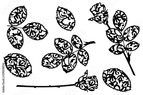 Rose flower and leaves silhouettes with ornament. Basis graphics for paper cut on white background