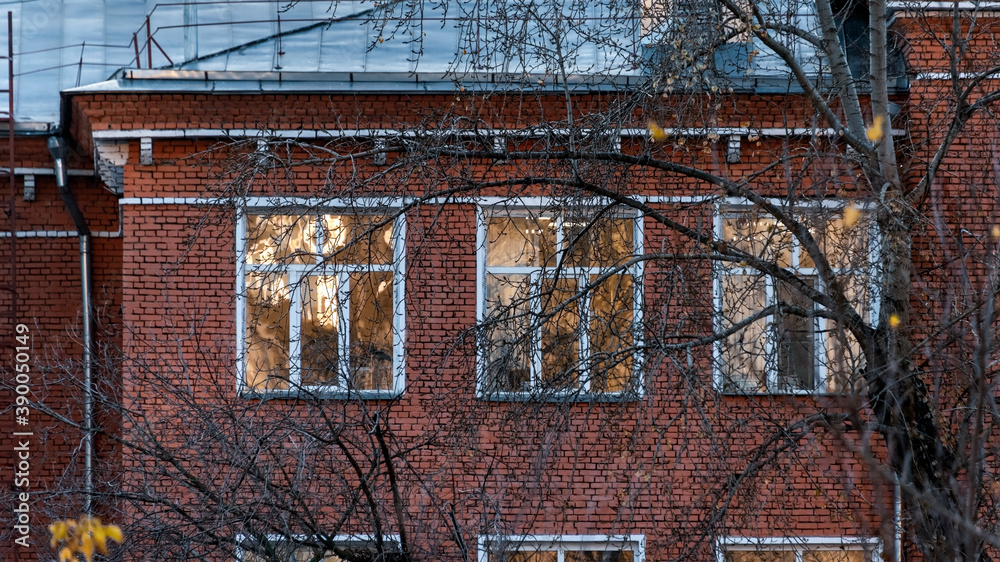 Facade of old brick house with windows and tree with autumn leaves Facade of old brick house with windows and tree with autumn leaves