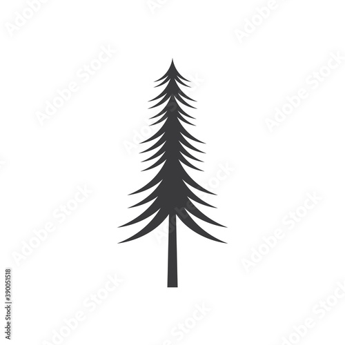 Cedar tree