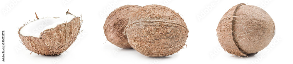 Group of coconut on a white background Group of coconut on a white background