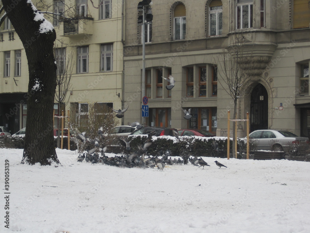 Fototapeta premium Exploring the beautiful snow covered old city of Budapest during winter, Hungary