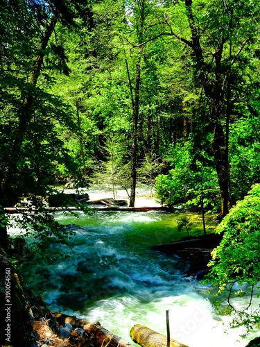 North America, United States, California, Yosemite National Park, Merced river