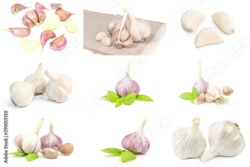 Collage of Garlic clove on a white background. Clipping path