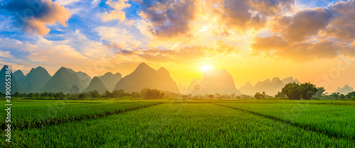 Green rice field and mountain natural scenery in Guilin,China. © ABCDstock