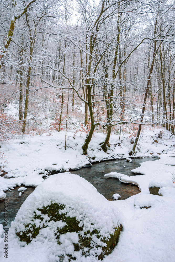 mountain river runs through winter forest. beautiful scenery with trees in hoarfrost and riverbanks covered in snow. few leaves in fall color on the twigs. mountain river runs through winter forest. beautiful scenery with trees in hoarfrost and riverbanks covered in snow. few leaves in fall color on the twigs.