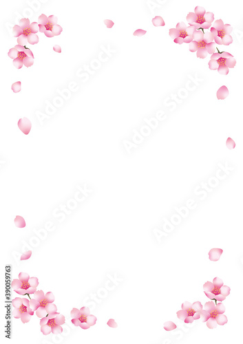 春　桜　イラスト　フレーム　背景　