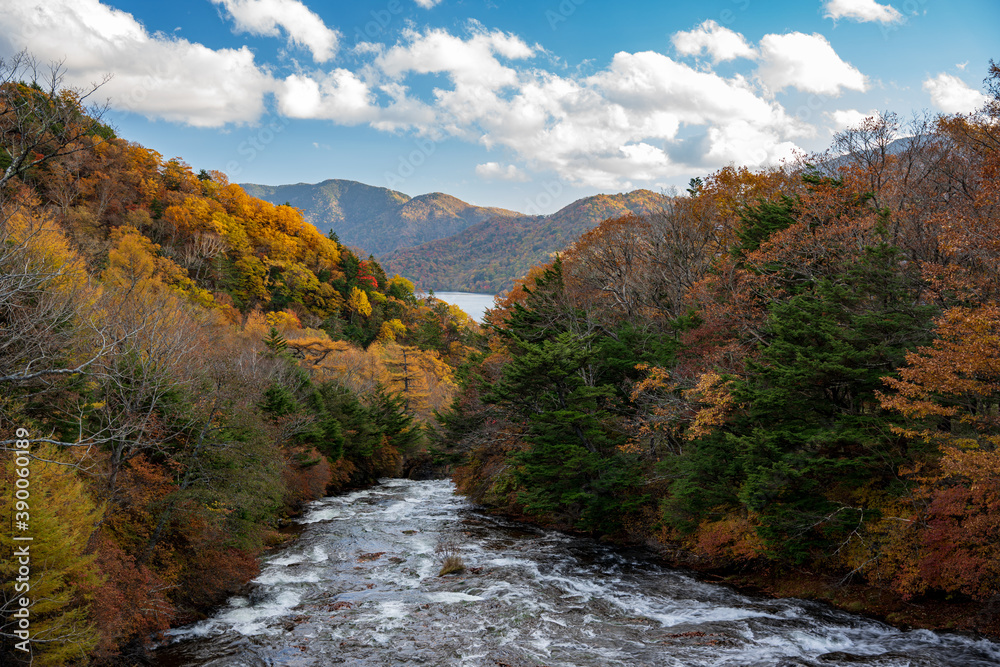 紅葉の日光 湯川 竜頭ノ滝上流 紅葉の日光 湯川 竜頭ノ滝上流