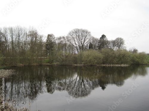 The flowers and trees in the Danish forests and landscapes of the mainland of Jutland (Jylland), Denmark