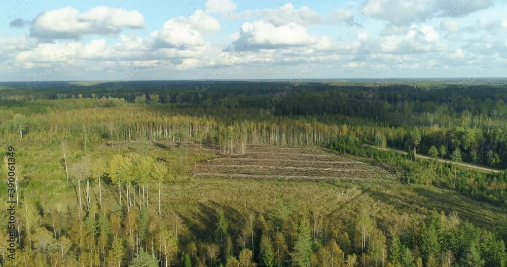 Aerial view of deforestation area in forest Aerial view of deforestation area in forest