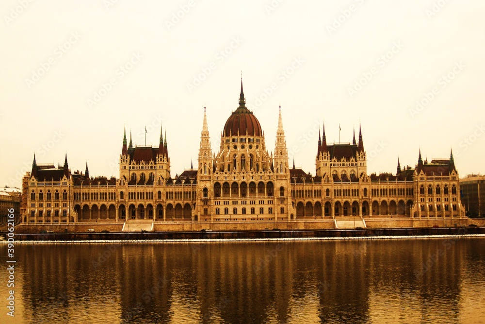 Fototapeta premium The beautiful Danish flowers and landscapes of the forests and country side of Jylland (Jutland) in Denmark