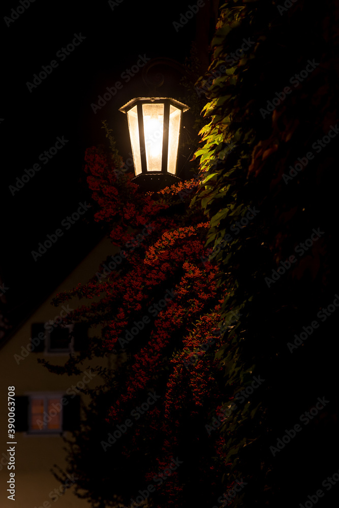 Eine alte Straßenlaterne beleuchtet nachts einen Strauch mit roten Beeren in Pappenheim