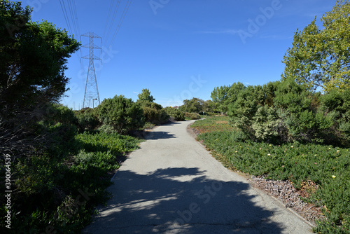 アメリカの計画住宅地：レッドウッド・ショアーズの街並み
