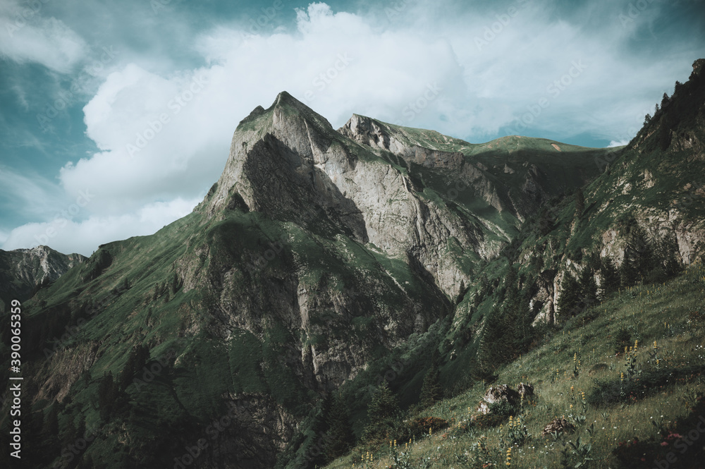 Fototapeta premium Allgäuer Alpen bei Oberstdorf, Oytal