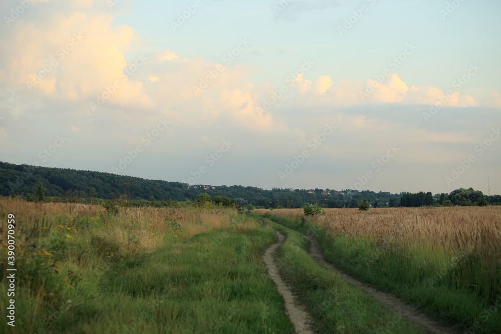 Obraz premium summer andscape