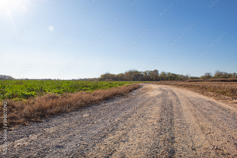 Sunny country road