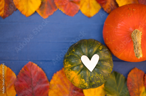Autumn Thanksgiving Pumpkins. Different Pumpkins, Heart Symbol and Bright Dry Leaves are on Navy Blue Wooden Table - Background, Copy Space, Horizontal Banner. Creative Top View Flat Lay Composition.