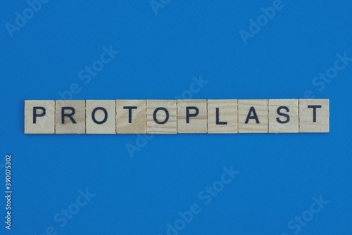 gray word protoplast in small square wooden letters with black font on a blue background
