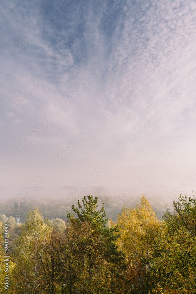 Beautiful vertical autumn landscape of foggy colorful bright trees and blue sky