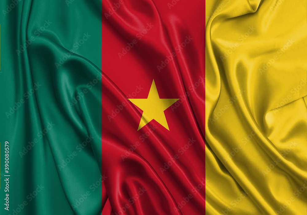 Cameroon , national flag on fabric texture. International relationship. Cameroon , national flag on fabric texture. International relationship.