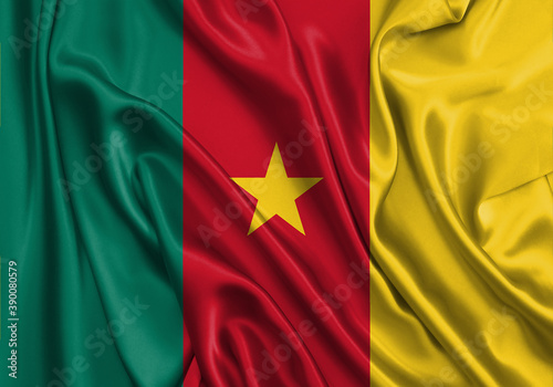 Cameroon , national flag on fabric texture. International relationship.