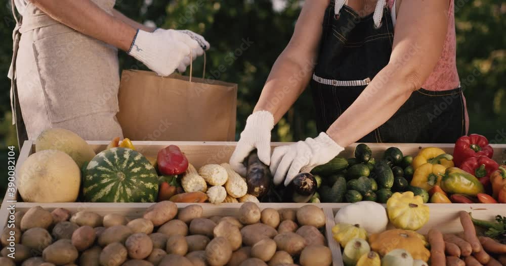 Seller puts vegetables in buyer's package at farmers market Seller puts vegetables in buyer's package at farmers market
