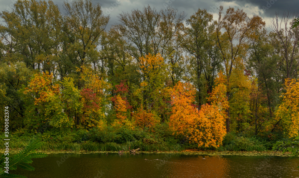 The lake is surrounded by beautiful autumn trees. The lake is surrounded by beautiful autumn trees.