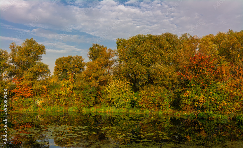 The lake is surrounded by beautiful autumn trees. The lake is surrounded by beautiful autumn trees.
