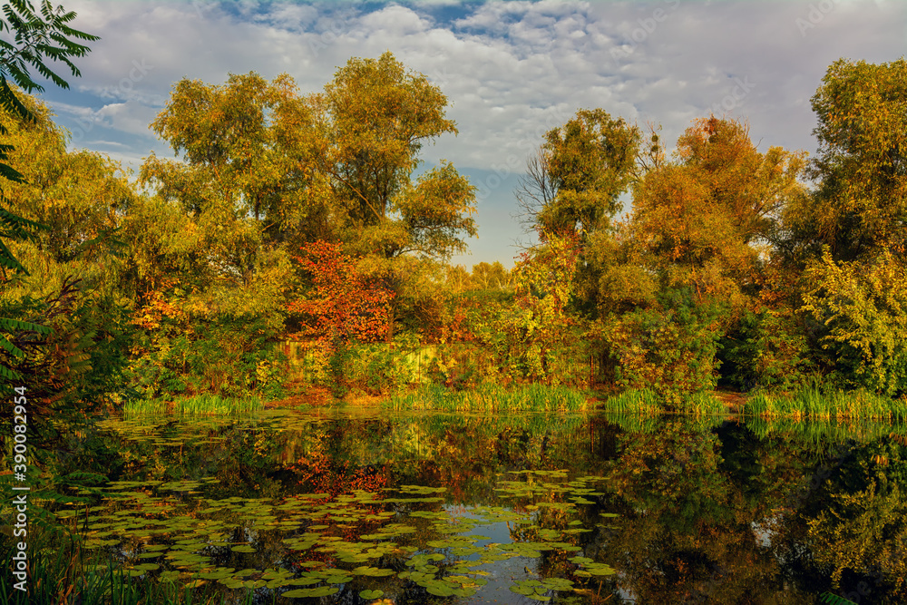 The lake is surrounded by beautiful autumn trees. The lake is surrounded by beautiful autumn trees.