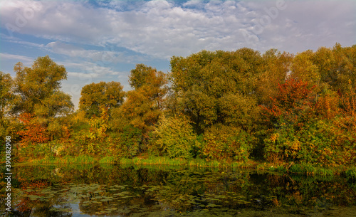 The lake is surrounded by beautiful autumn trees.