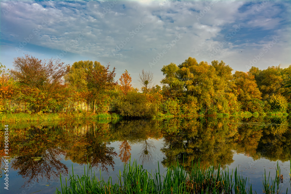 Fototapeta premium The lake is surrounded by beautiful autumn trees.