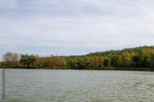 water surface of a forest lake on an autumn day
