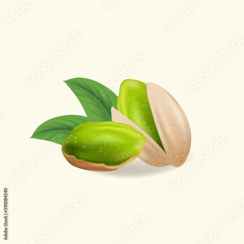 Wallpaper Mural Pistachio nuts with leaves. Vector illustration realistic pistachio kernels Torontodigital.ca
