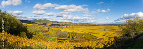 Le village d'Ammerschwihr au cœur du vignoble côtelé alsacien, Haut-Rhin, Alsace, Grand Est, France photo