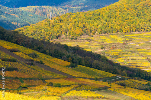 La vallée de Kaysersberg vignoble, son antenne GSM, coteaux et vignoble, Haut-Rhin, Alsace, Grand Est, France